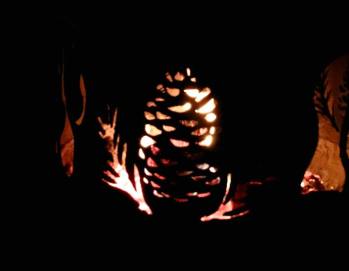 Thanks to Kate Ruffing for her photo of the Camp 4 Bonfire at her beautiful home